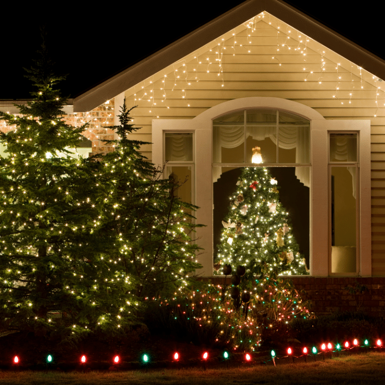 Christmas Lighting Company in Staten Island, NY (3)