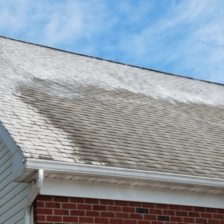 Roof Cleaning in Red Bank, NJ